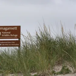 Amagansett National Wildlife Refuge - East Hampton