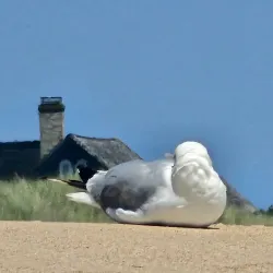 Amagansett National Wildlife Refuge - East Hampton