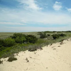 Amagansett National Wildlife Refuge - East Hampton