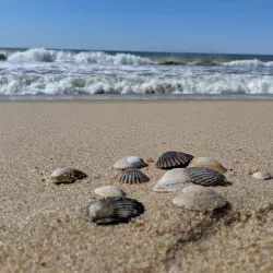 Amagansett National Wildlife Refuge - East Hampton