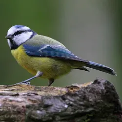 Amagansett National Wildlife Refuge - East Hampton