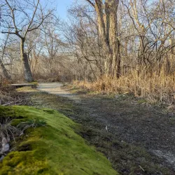 East Hampton Village Nature Trail - East Hampton
