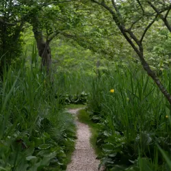 East Hampton Village Nature Trail - East Hampton