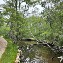 East Hampton Village Nature Trail - East Hampton