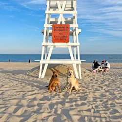 Main Beach - East Hampton
