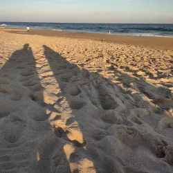 Main Beach - East Hampton