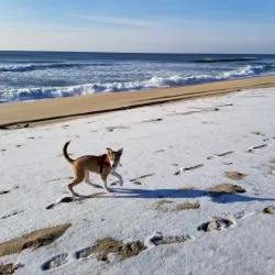 Two Mile Hollow Beach - East Hampton