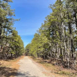 Cranberry Bog Preserve - East Northport