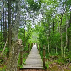 Cranberry Bog Preserve - East Northport