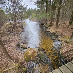 Cranberry Bog Preserve - East Northport