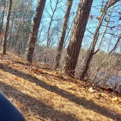 Cranberry Bog Preserve - East Northport