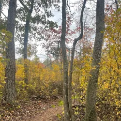 Cranberry Bog Preserve - East Northport
