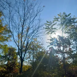 Elwood Park - East Northport