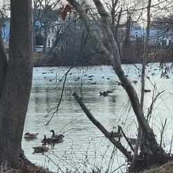 Elwood Park - East Northport