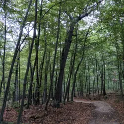 Roberts Road Park - East Northport