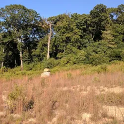 Roberts Road Park - East Northport