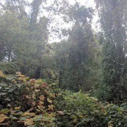 Roberts Road Park - East Northport