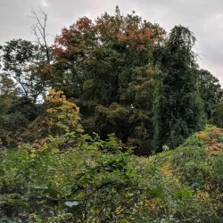 Roberts Road Park - East Northport