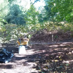 Roberts Road Park - East Northport