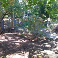 Roberts Road Park - East Northport