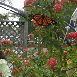 Sweetbriar Nature Center - East Northport