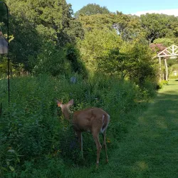 Sweetbriar Nature Center - East Northport