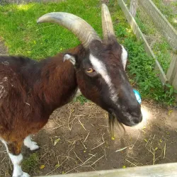 Sweetbriar Nature Center - East Northport