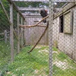 Sweetbriar Nature Center - East Northport