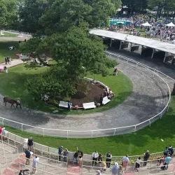 Belmont Park - Elmont