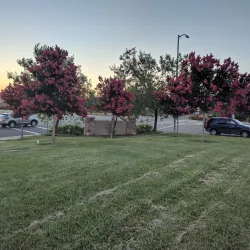 Eagle's Nest Park - Elmont