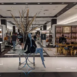 Roosevelt Field Mall - Elmont