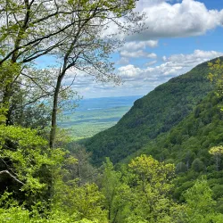 Clove Creek Preserve - Fishkill