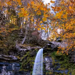 Clove Creek Preserve - Fishkill