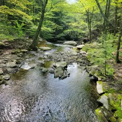 Clove Creek Preserve - Fishkill