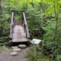 Clove Creek Preserve - Fishkill