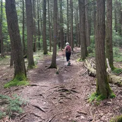 Clove Creek Preserve - Fishkill