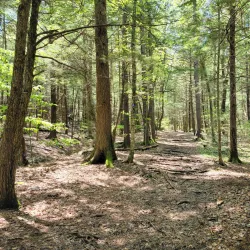 Clove Creek Preserve - Fishkill