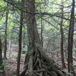 Clove Creek Preserve - Fishkill