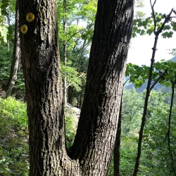 Clove Creek Preserve - Fishkill