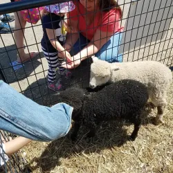 Dutchess Stadium - Fishkill