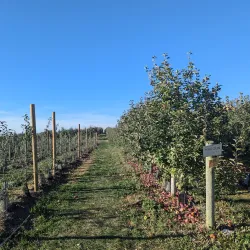 Fishkill Farms - Fishkill