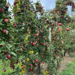 Fishkill Farms - Fishkill