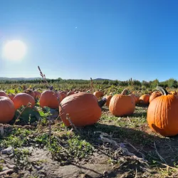 Fishkill Farms - Fishkill