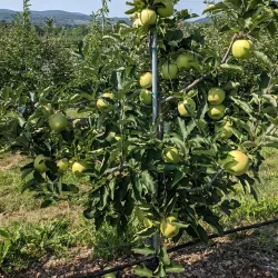 Fishkill Farms - Fishkill