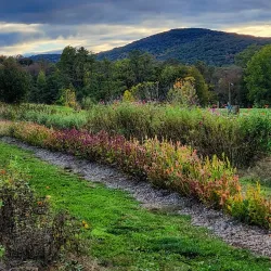 Fishkill Farms - Fishkill