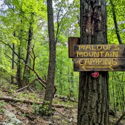 Fishkill Ridge Preserve - Fishkill