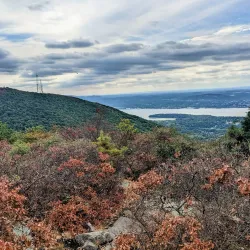 Fishkill Ridge Preserve - Fishkill