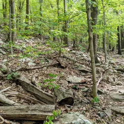 Fishkill Ridge Preserve - Fishkill