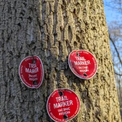 Fishkill Ridge Preserve - Fishkill