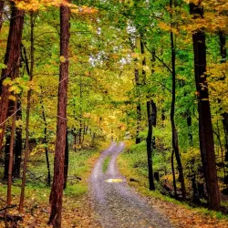 Fishkill Ridge Preserve - Fishkill